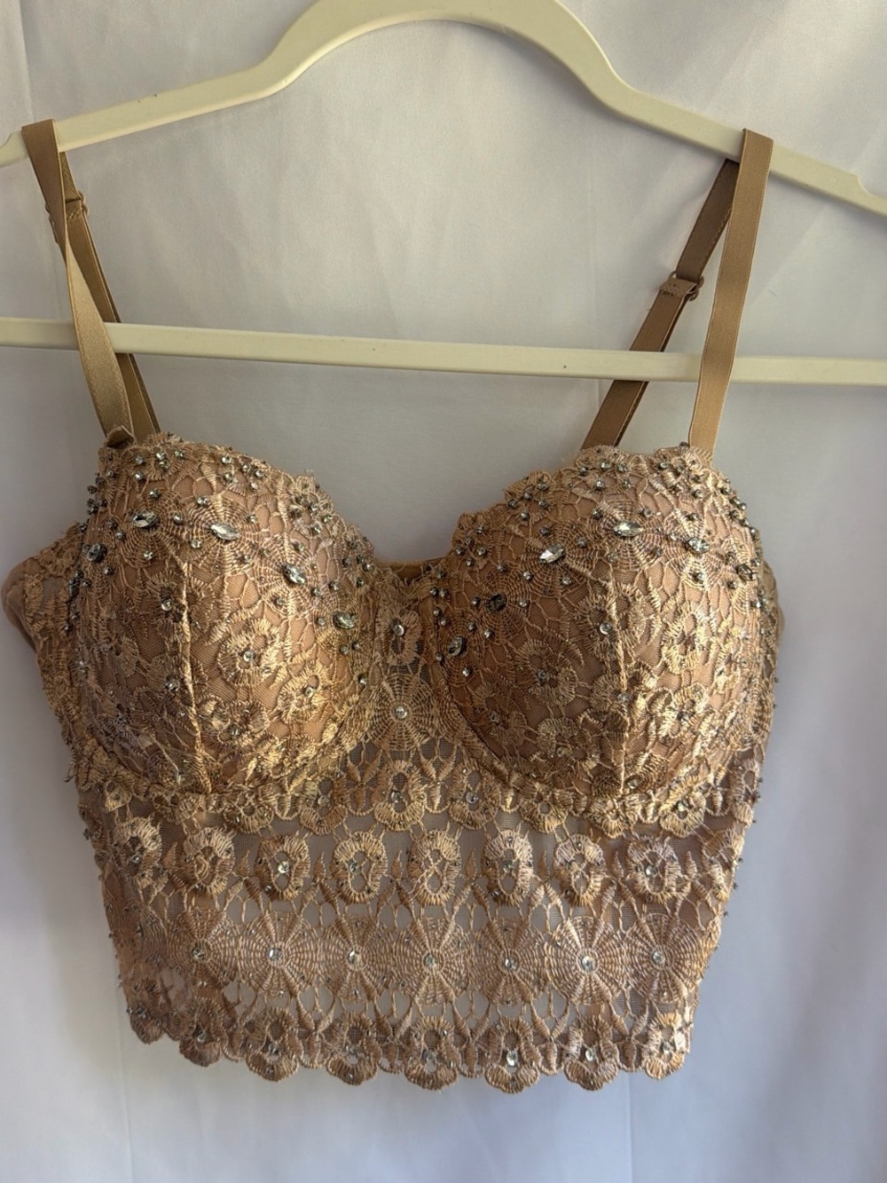 Windsor Embellished Lace Longline Bustier Bralette - Nude